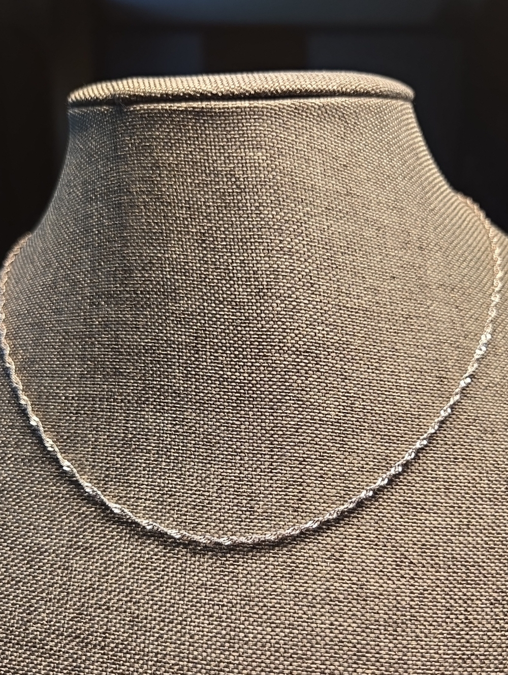 Delicate Twisted Rope Silver Necklace